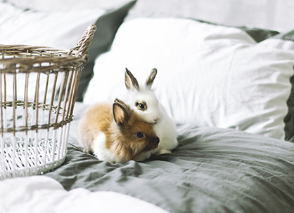 lebenszimmer-ostern-home.jpg