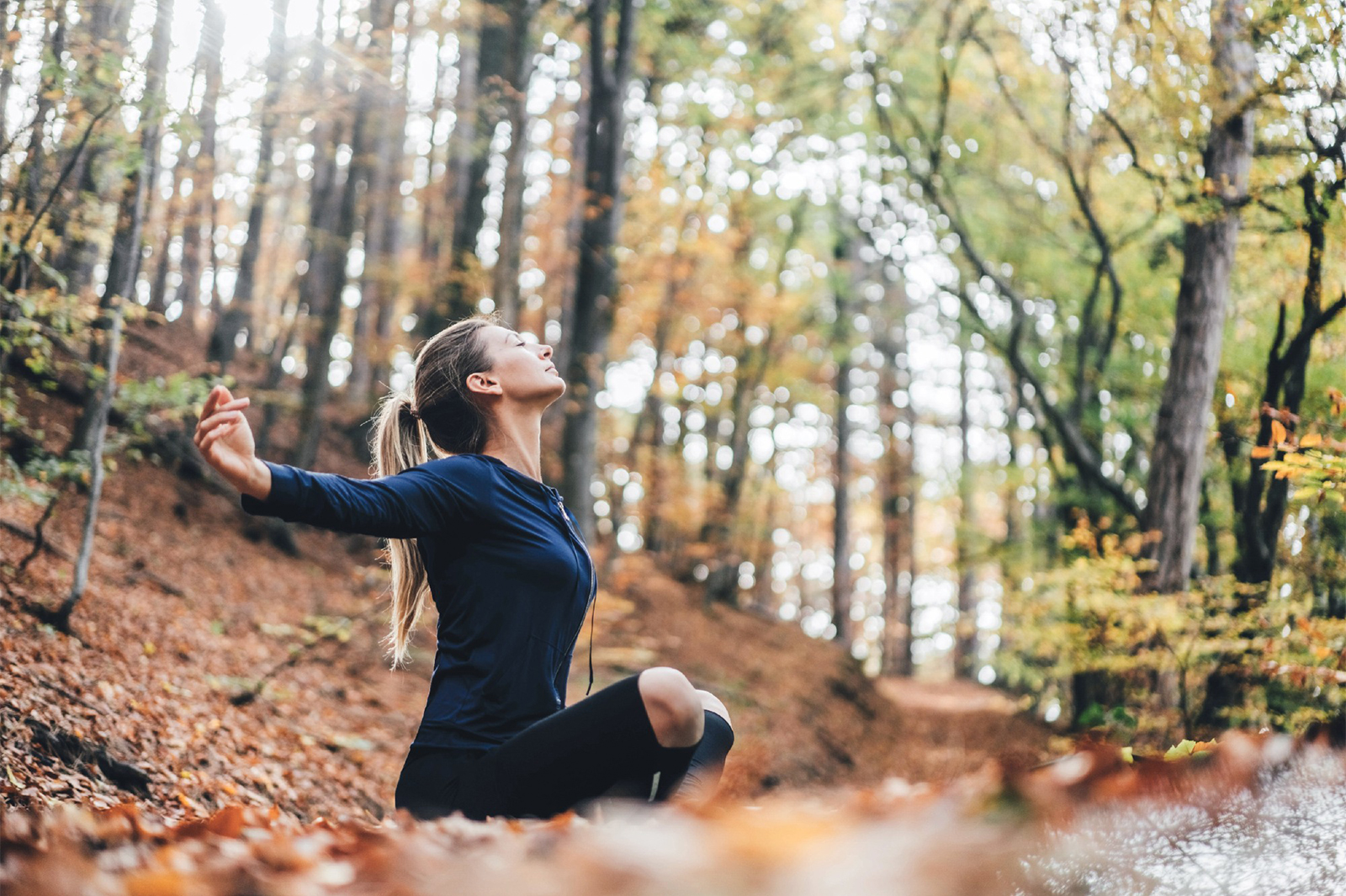lebenszimmer-herbst-gesund-wald.jpg